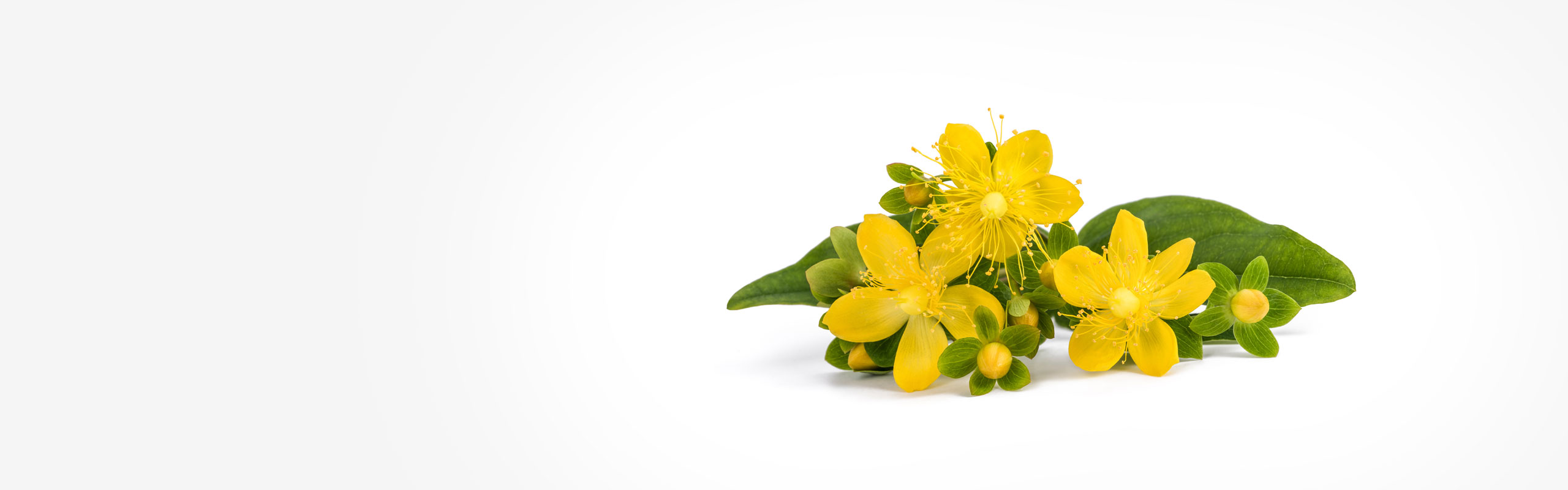 Praxis für Physiotherapie Praxis für Physiotherapie